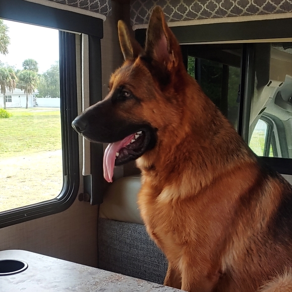 Meet your Posher, Laura - Picture 6 of 10